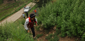 http://210.31.100.45/imgs/127/14.jpg